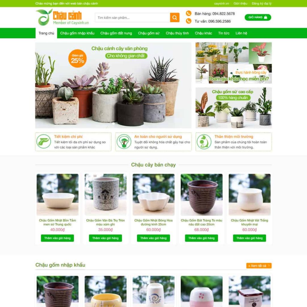 Theme bán chậu cây cảnh văn phòng
