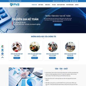 Theme kế toán 02