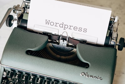 wordpress responsive theme customization