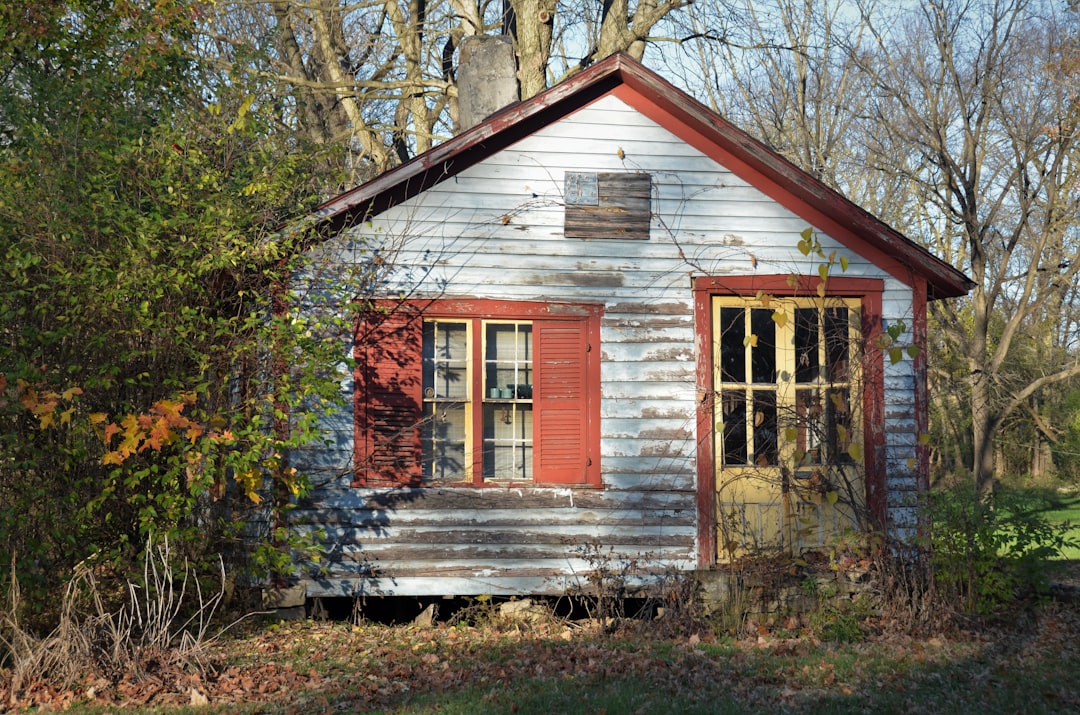 brown wooden house surrounded by trees