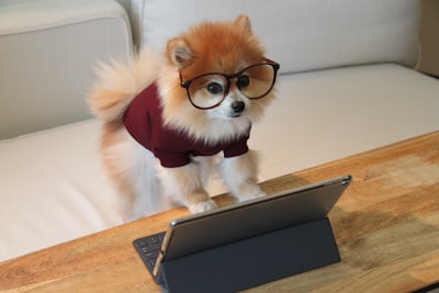 real estate agent working on laptop
