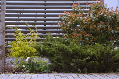 beautiful curb appeal garden