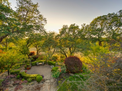 professional real estate garden photography