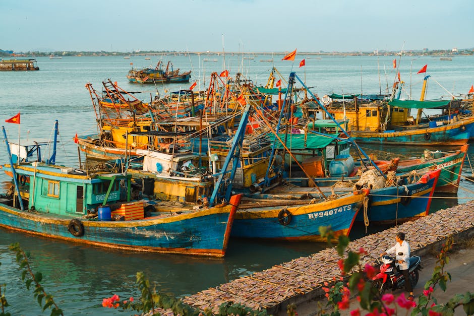 Colorful fishing boats docked at Vũng Tàu harbor, Vietnam, capturing everyday maritime life.