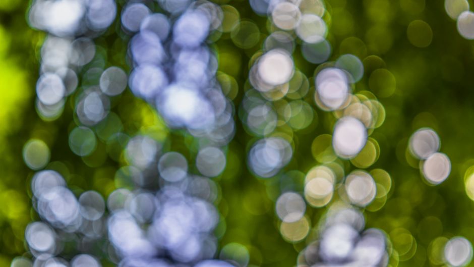 Abstract bokeh background with colorful circles in green and blue hues, ideal for creative use.