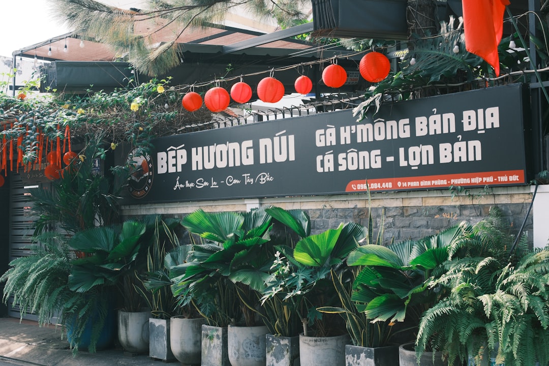 A building with a bunch of potted plants outside of it