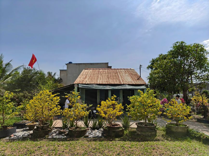 Rural Vietnamese house displaying Tet flowers and flag in sunny Phước Lý, Tây Ninh.